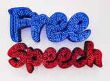 Free Speech by Andrea Bowers contemporary artwork sculpture