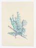 Untitled by Anna Zemankova contemporary artwork Painting