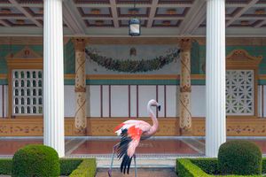 Karen Knorr