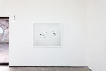 Simon Starling contemporary artist