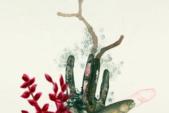 Mithu Sen contemporary artist