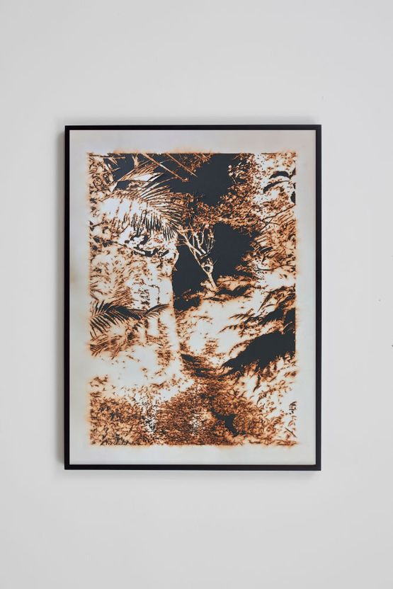 Puerto RicoBurned 2 by Teresita Fernandez contemporary artwork Works on Paper