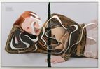 ONE-LINER V Separation Redhead by Amie Dicke contemporary artwork Photography