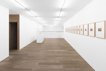 Contemporary art exhibition Sherrie Levine Sherrie Levine Sherrie Levine at Xavier Hufkens Rivoli Belgium