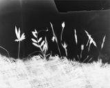 Untitled by The Estate Of Anwar Jalal Shemza contemporary artwork photography
