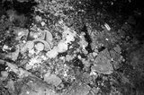 Sem titulo Untitled by Gabriel Branco contemporary artwork photography
