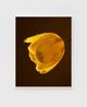Nor Easter Tulip by Roe Ethridge contemporary artwork Print