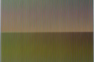 Carlos Cruz-Diez