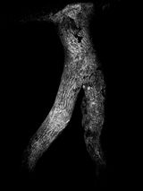 Nocturnal 07 by Rusty Fox contemporary artwork print