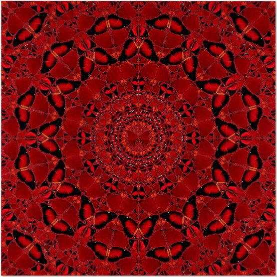 Suiko H10-4 by Damien Hirst contemporary artwork Print