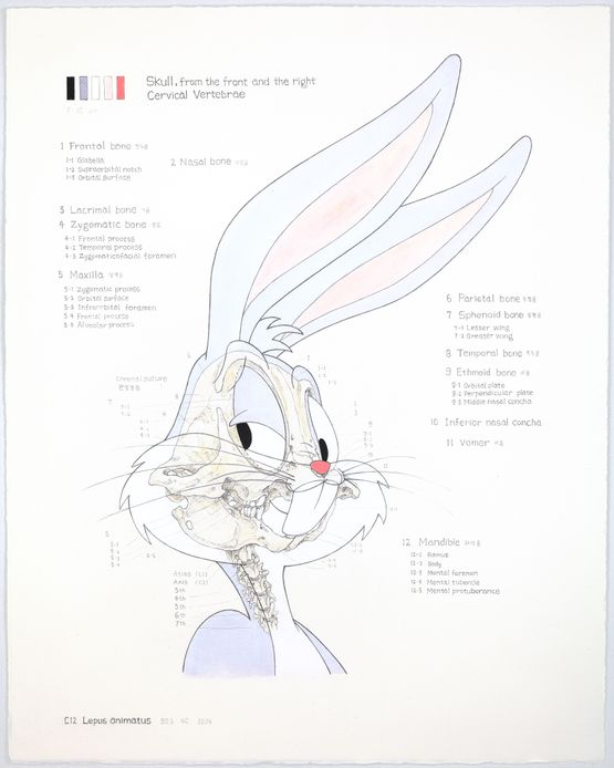 C12 Lepus animatus by Hyungkoo Lee contemporary artwork Works on Paper