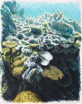 Saltwater II by Bruno Gadenne contemporary artwork drawing painting works on paper