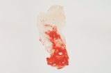 Serie Fiapos by Amelia Toledo contemporary artwork works on paper