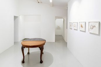 Contemporary art exhibition Jorge Macchi False Autumn at Galleria Continua San Gimignano Italy
