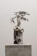Untitled Protector Larix potaninii by Timur Si-Qin contemporary artwork sculpture
