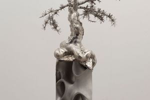 Timur Si-Qin