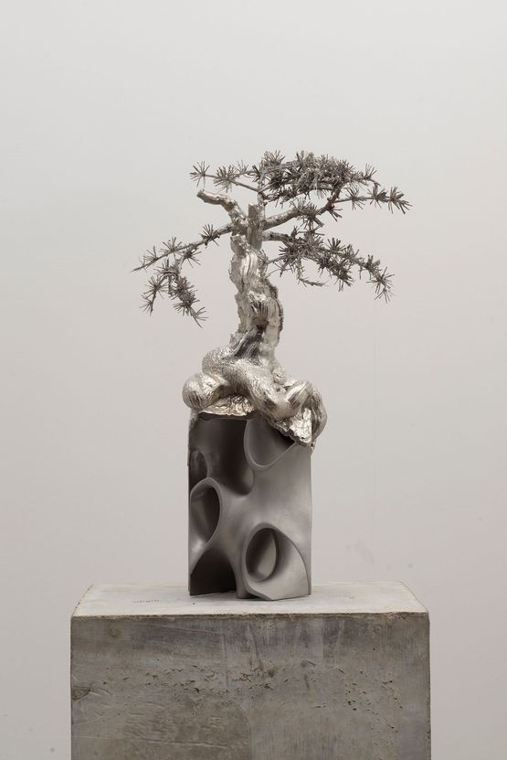 Untitled Protector Larix potaninii by Timur Si-Qin contemporary artwork Sculpture