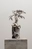 Untitled Protector Larix potaninii by Timur Si-Qin contemporary artwork Sculpture
