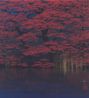 Foliage by Kazuyuki Futagawa contemporary artwork Painting