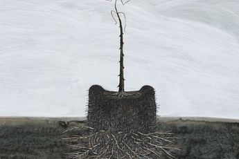 Michael Shepherd contemporary artist