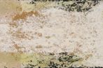 Tang Guo contemporary artist