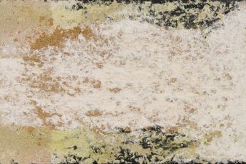 Tang Guo contemporary artist