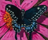 Black Swallow Tai by Claudia Keep contemporary artwork painting