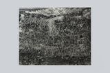 Mountain Life-Stack by Takeshi Honda contemporary artwork drawing works on paper