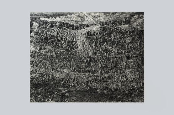 Mountain Life-Stack by Takeshi Honda contemporary artwork Works on Paper