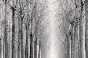 Michael Kenna