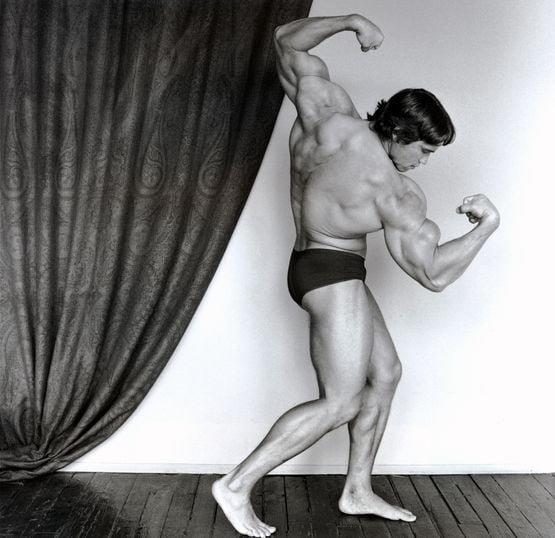 Arnold Schwarzenegger by Robert Mapplethorpe contemporary artwork Photography