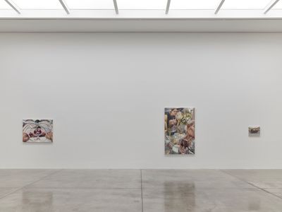 Danica Lundy Turns Inside Out at White Cube
