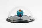 Jan Fabre contemporary artist