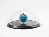 Poisson belge lubrique faisant la fete by Jan Fabre contemporary artwork sculpture