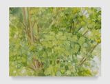 The Maple Tree Summer by Sylvia Plimack Mangold contemporary artwork painting