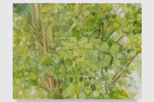 Sylvia Plimack Mangold