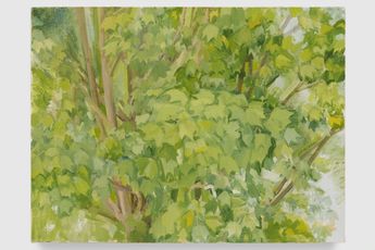 Sylvia Plimack Mangold contemporary artist