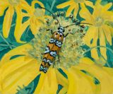 Alicanthus Webworm Moth by Claudia Keep contemporary artwork painting
