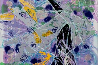 Dona Nelson contemporary artist