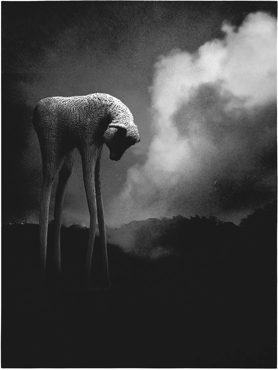 Catch It Outside 35 by Wong Weng Cheong contemporary artwork Print