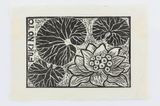 Fuki flower by Robin White contemporary artwork works on paper