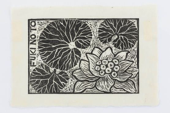 Fuki flower by Robin White contemporary artwork Works on Paper