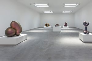 Matthew Marks Gallery contemporary art gallery in 523 West 24th Street New York United States