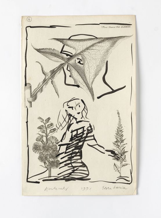 Untitled Flora Danica by Pierre Alechinsky contemporary artwork Painting