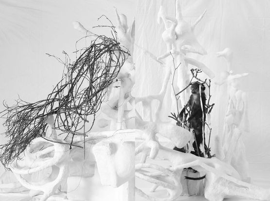 Die neue falsche Welt der Affen - Unklare Zustande. Nest by Hartmut Neumann contemporary artwork Print