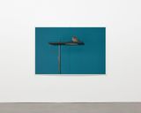 Junger Hausrotschwanz 2022 by Wolfgang Tillmans contemporary artwork photography print