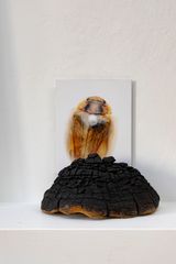 Every Garden needs a Guardian by Janet Laurence contemporary artwork print