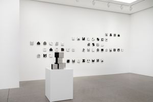 Lygia Pape
