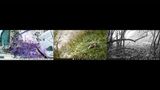 The Mountains Will Remember Everything by Chen Xiaoyi contemporary artwork moving image