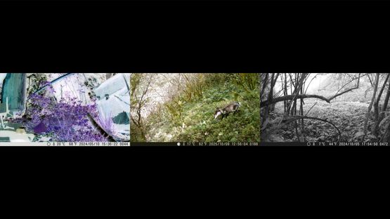 The Mountains Will Remember Everything by Chen Xiaoyi contemporary artwork Moving Image